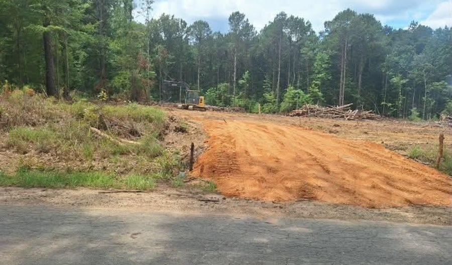 709 Old Pinola Braxton Rd, Braxton, MS 39044 - 0 Beds, 0 Bath