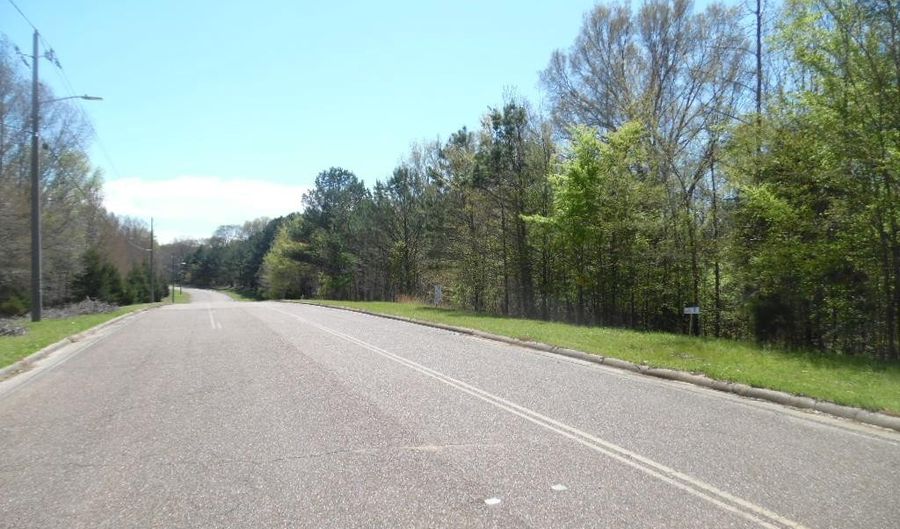 Lot 1 Lakewood Drive, Batesville, MS 38606 - 0 Beds, 0 Bath