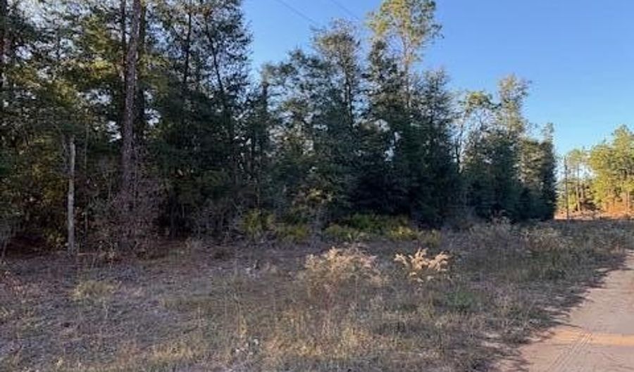 Arpana Circle lot # 1, Alford, FL 32420 - 0 Beds, 0 Bath