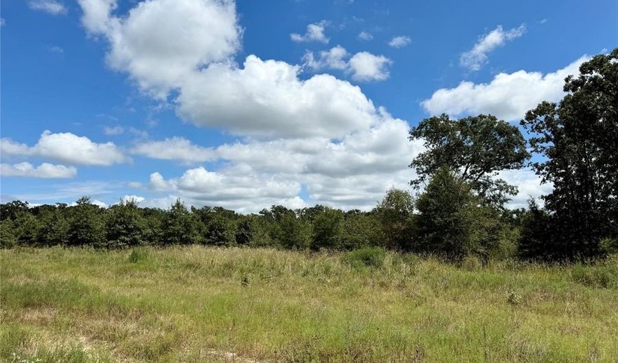 Lot 21 Rains County Rd 2610, Alba, TX 75410 - 0 Beds, 0 Bath