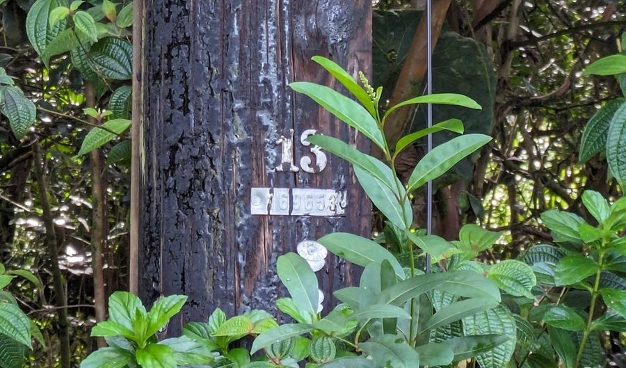 722 11TH Ave, Keaau, HI 96749 - 0 Beds, 0 Bath