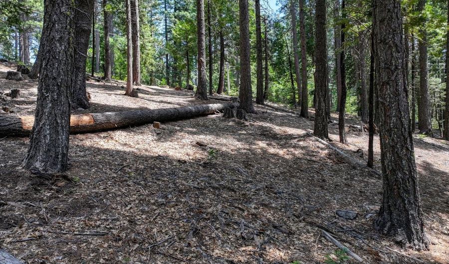 4741 Meko Dr, Camp Connell, CA 95223 - 0 Beds, 0 Bath