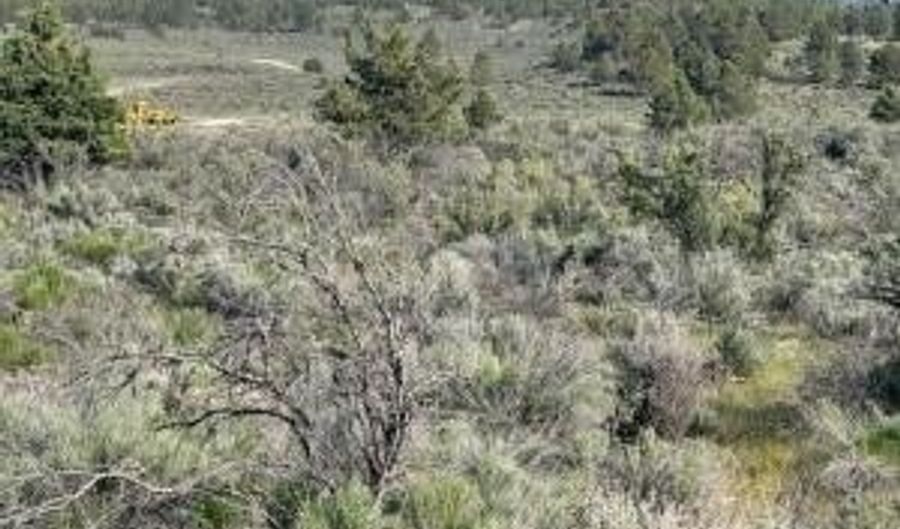 Council Butte lot 8, Beatty, OR 97621 - 0 Beds, 0 Bath
