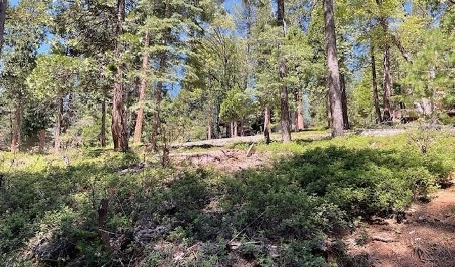 1474 Moran Rd, Arnold, CA 95223 - 0 Beds, 0 Bath