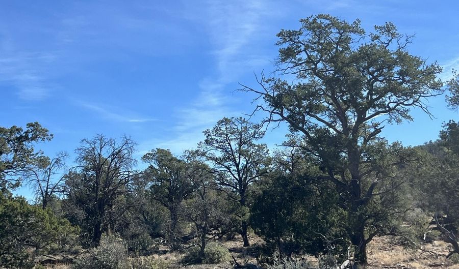 362 Big View Trl, Ash Fork, AZ 86320 - 0 Beds, 0 Bath