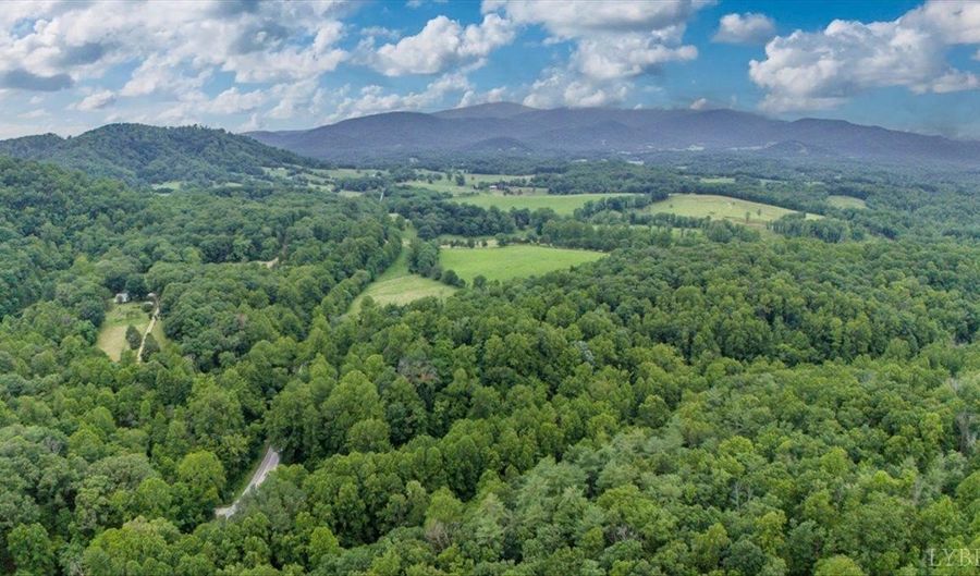 2288 Lexington Tpke, Amherst, VA 24521 - 4 Beds, 5 Bath