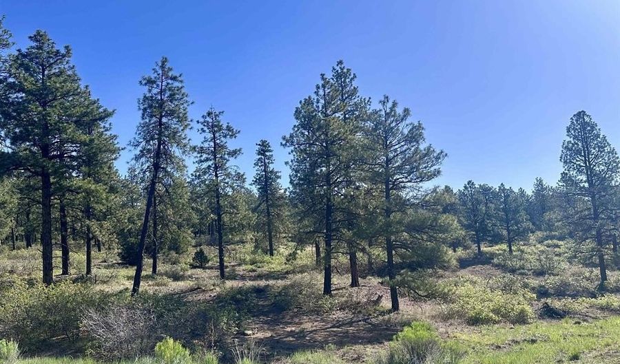 782 Hawks Meadow Dr, Bayfield, CO 81122 - 0 Beds, 0 Bath