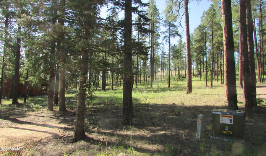 8 CR 2194, Alpine, AZ 85920 - 0 Beds, 0 Bath