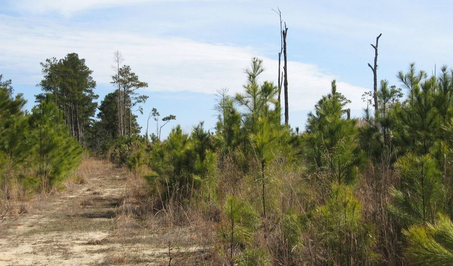 4161 Caratoke Highway Lot 1 & 2, Barco, NC 27917 - 0 Beds, 0 Bath