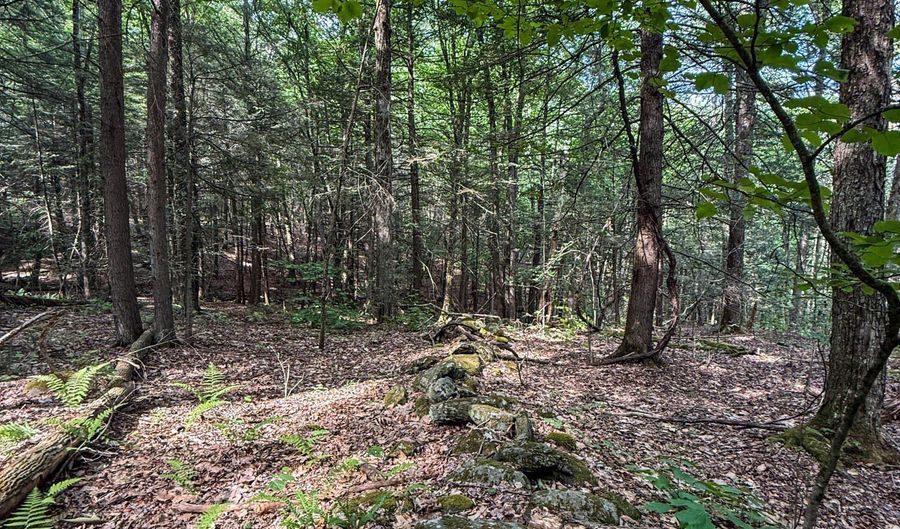 Deer Run lot 35, Becket, MA 01223 - 0 Beds, 0 Bath