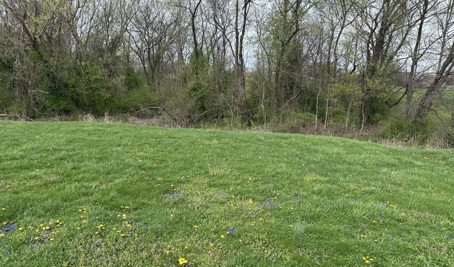 916 Woods Run Rd, Bardstown, KY 40004 - 0 Beds, 0 Bath