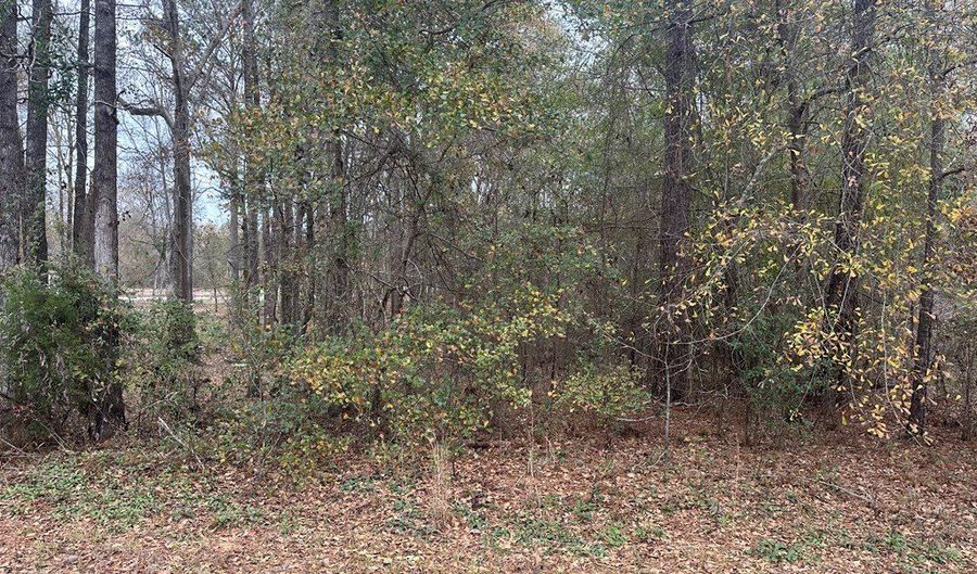 0 County Road 97, Abbeville, AL 36310 - 0 Beds, 0 Bath