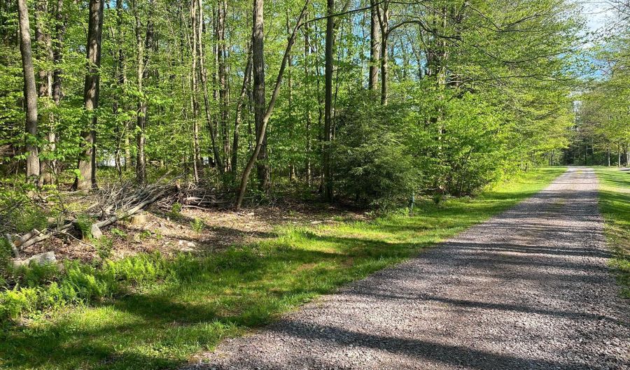 99 ACRE ROCK Ldg, Accident, MD 21520 - 0 Beds, 0 Bath