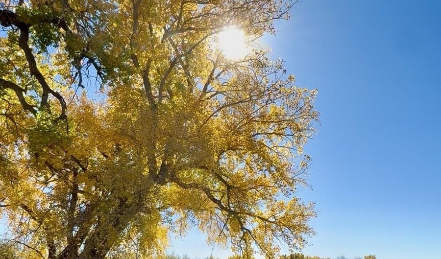 Xx ROAD 4599, Blanco, NM 87412 - 0 Beds, 0 Bath