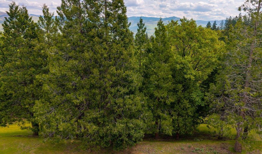 Terrace Street, Ashland, OR 97520 - 0 Beds, 0 Bath