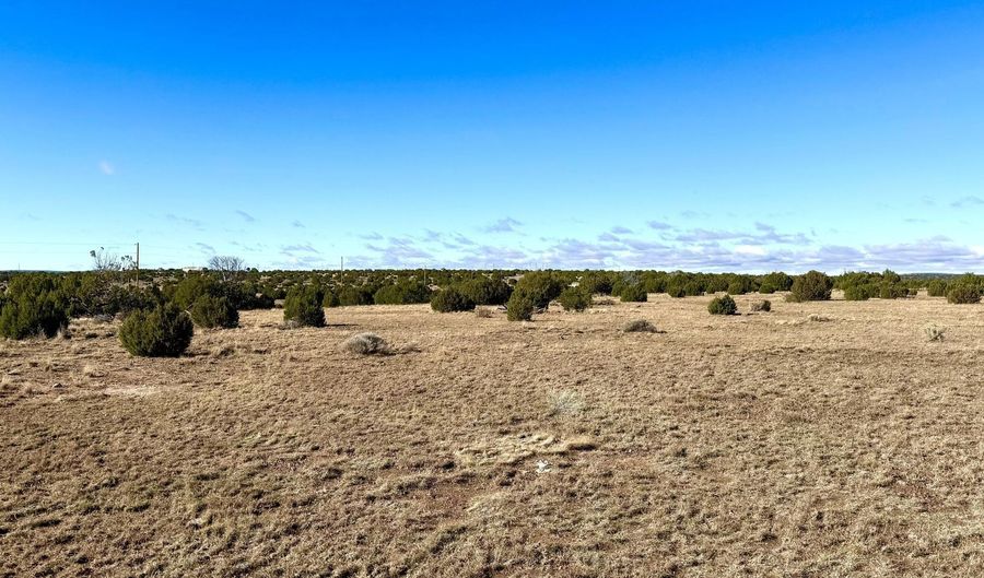 CR 8637 Lot # 210, Concho, AZ 85924 - 0 Beds, 0 Bath