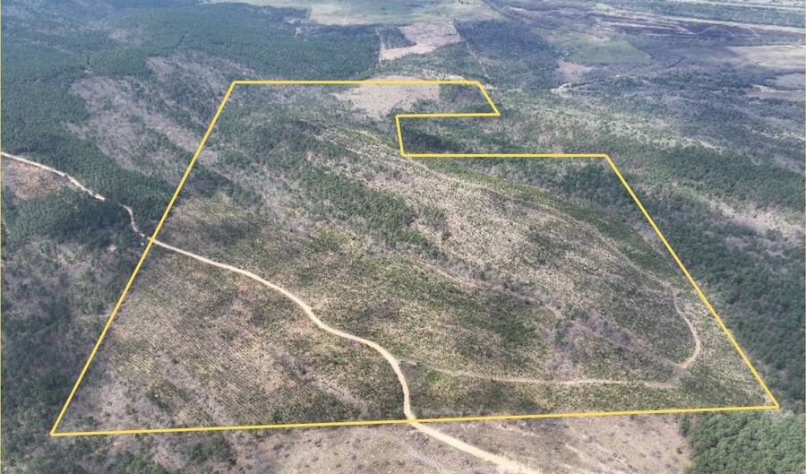 1 N4220, Antlers, OK 74523 - 0 Beds, 0 Bath