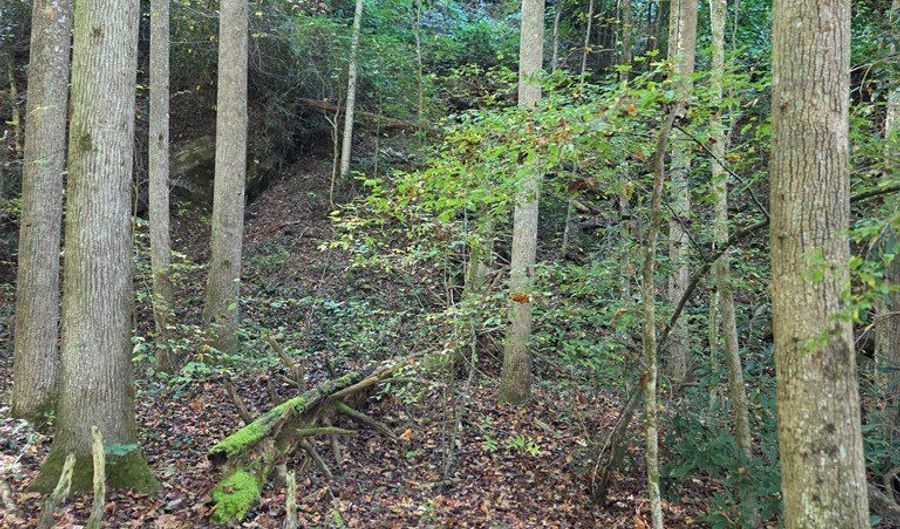 0 Lords Way, Andrews, NC 28901 - 0 Beds, 0 Bath