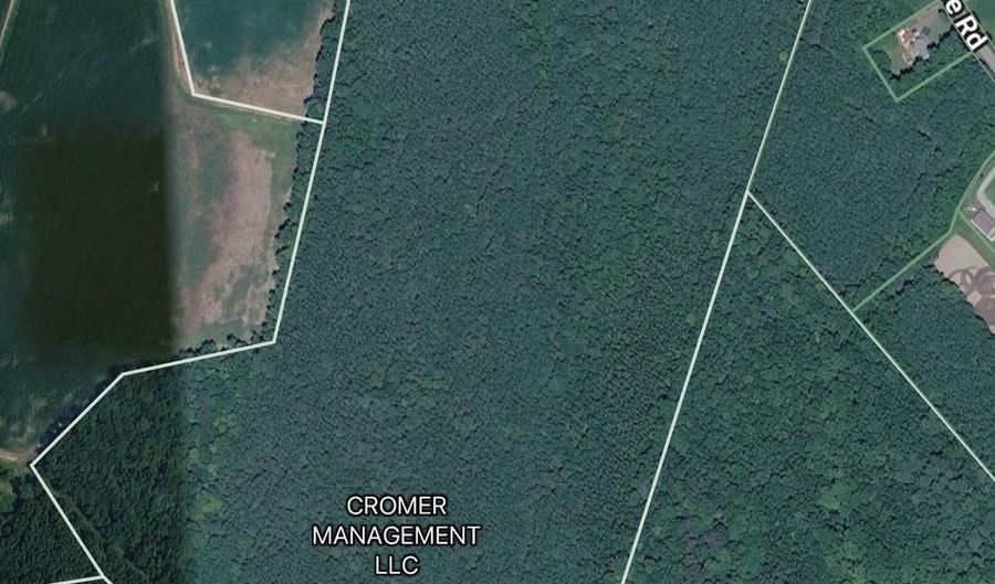 51 Acres W PINEY GROVE Rd De, Georgetown, DE 19947 - 0 Beds, 0 Bath
