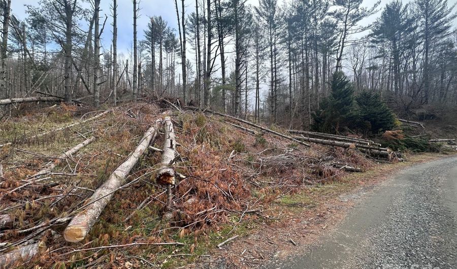 99999 Big Rock Creek Dr, Bakersville, NC 28705 - 0 Beds, 0 Bath