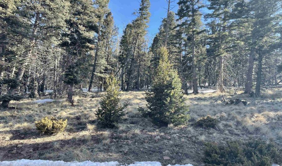 Lot 1298A Pleasant Valley Overlook, Angel Fire, NM 87710 - 0 Beds, 0 Bath