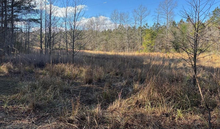 LOT 4B MOLLYFIELD ROAD, Dagsboro, DE 19939 - 0 Beds, 0 Bath
