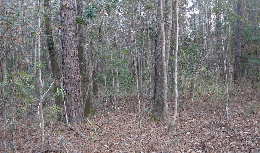 5563 Mauss Hill Rd, Adams Run, SC 29426 - 0 Beds, 0 Bath