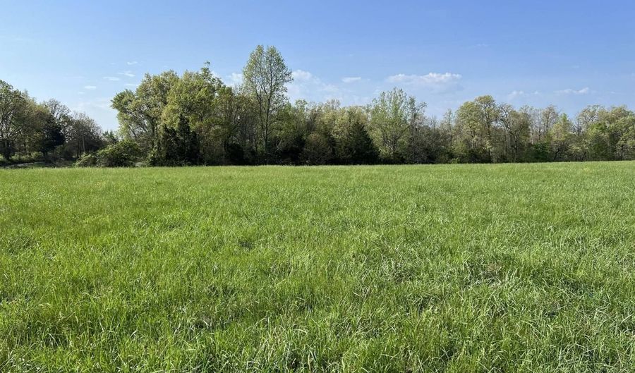 12257 Y-521 Rd, Ava, MO 65608 - 0 Beds, 0 Bath