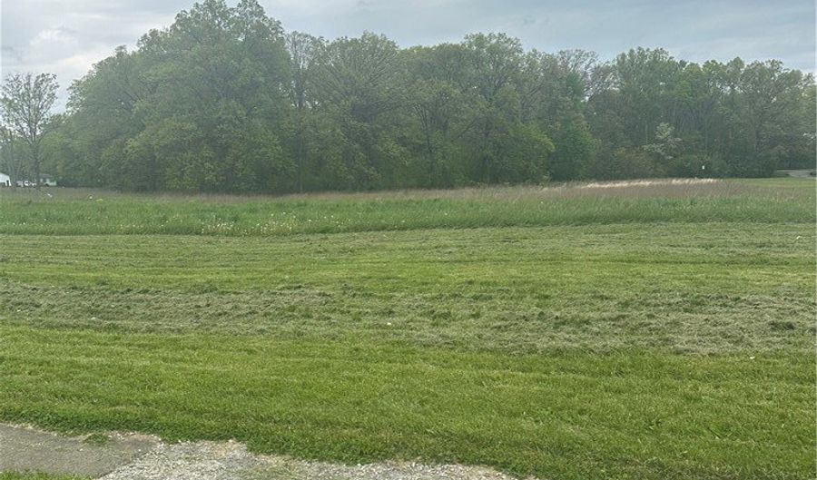 Maple Avenue, Austintown, OH 44515 - 0 Beds, 0 Bath