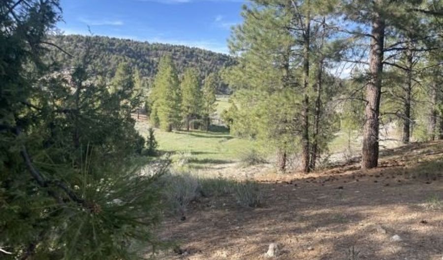 2820 N Dead Horse Lp, Alton, UT 84710 - 0 Beds, 0 Bath