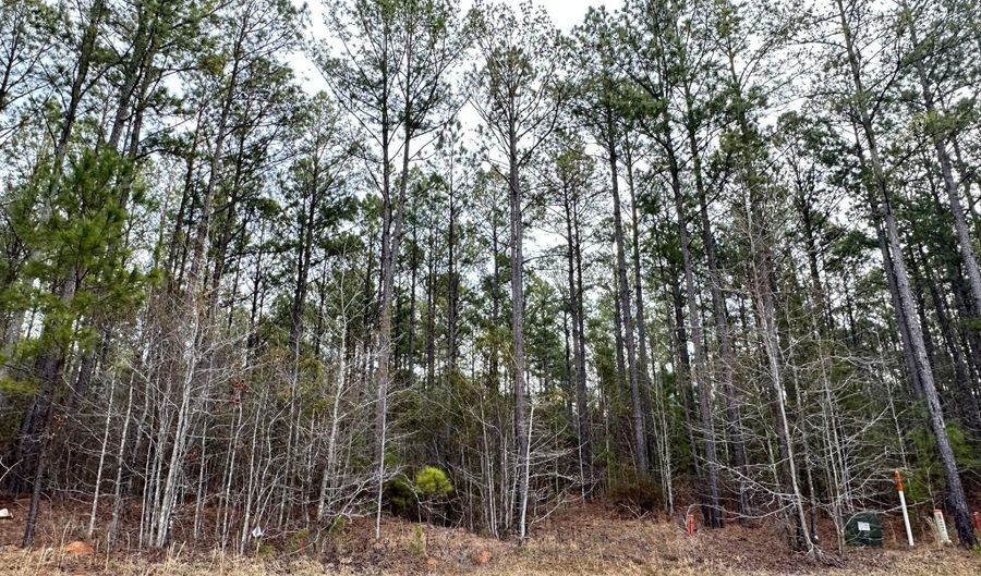 Lot C112 DOCK SIDE Lane, Lincolnton, GA 30817 - 0 Beds, 0 Bath