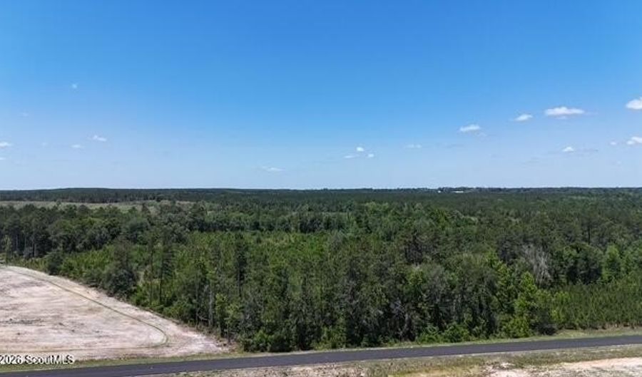 Oscar Tippins Road, Baxley, GA 31513 - 0 Beds, 0 Bath