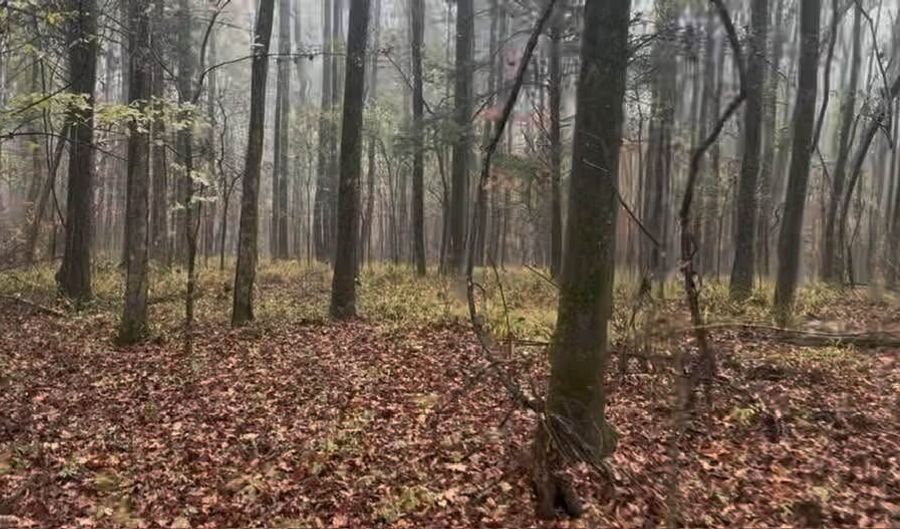 1 8 Miles Due South Down Anding Oil City Rd, Bentonia, MS 39040 - 0 Beds, 0 Bath