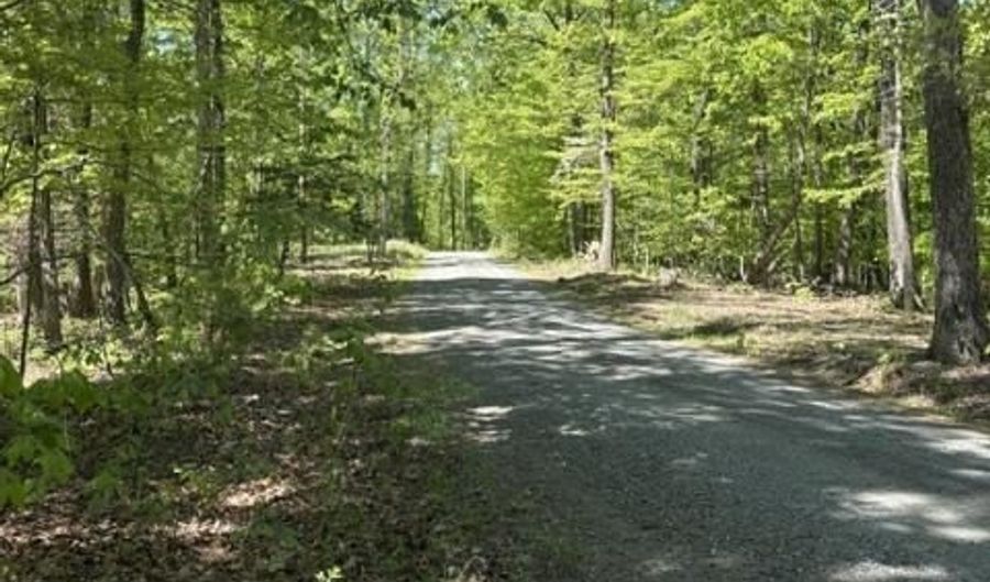 Davis Lane, Aroda, VA 22709 - 0 Beds, 0 Bath