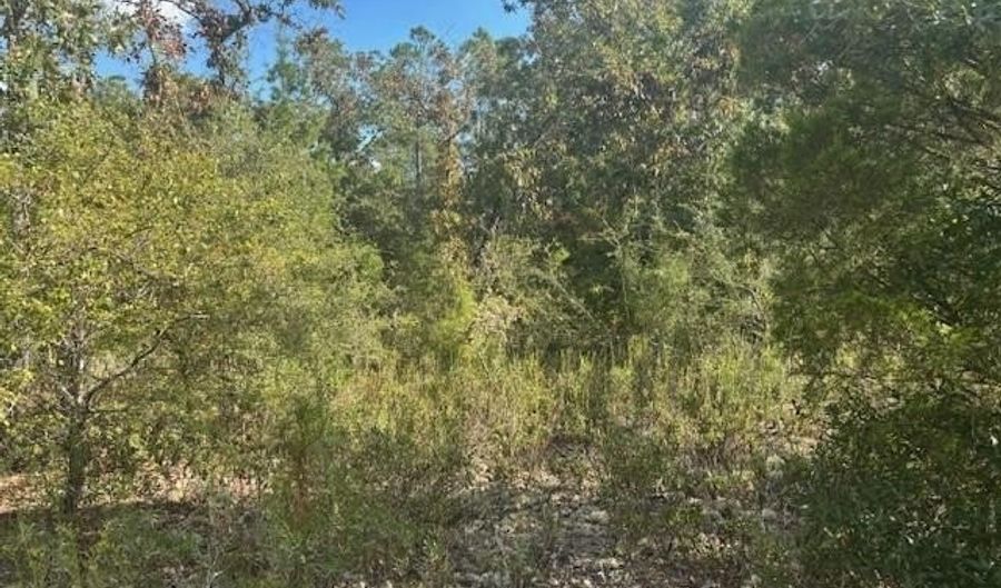 Nezperce Drive, Alford, FL 32420 - 0 Beds, 0 Bath