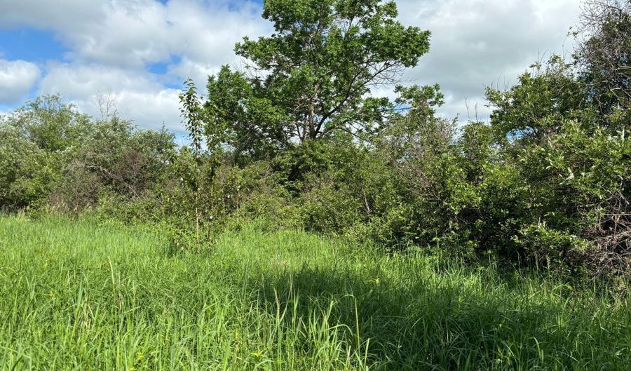 County Road 7, Bagley, MN 56621 - 0 Beds, 0 Bath