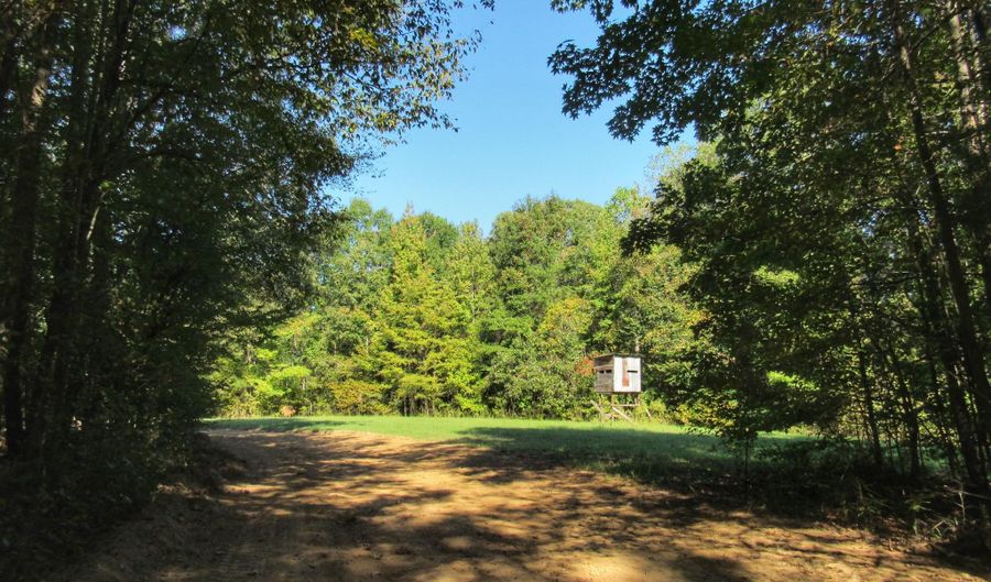 Anding Oil City Road, Bentonia, MS 39040 - 0 Beds, 0 Bath