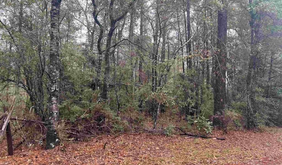 68000 Block Scranage Rd, Atmore, AL 36502 - 0 Beds, 0 Bath