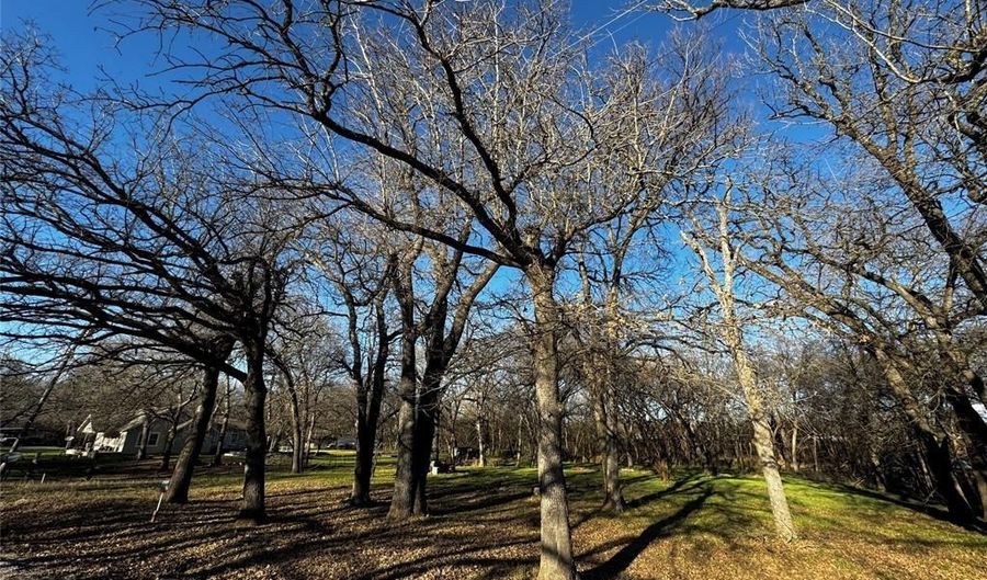 175 Quail Haven St, Alvarado, TX 76009 - 0 Beds, 0 Bath