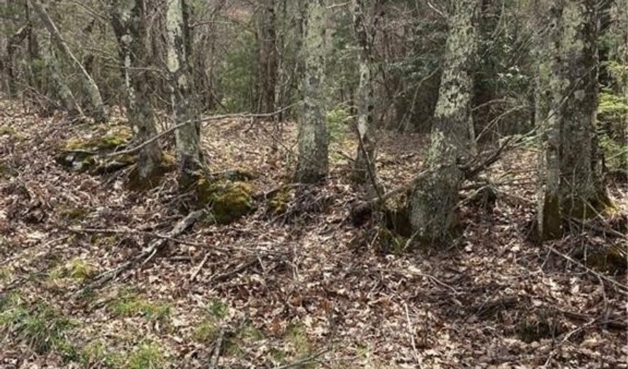 Tbd Old Mountain Road, Banner Elk, NC 28604 - 0 Beds, 0 Bath