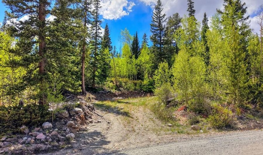 253 Mine Dump Rd Lot 31, Alma, CO 80440 - 0 Beds, 0 Bath