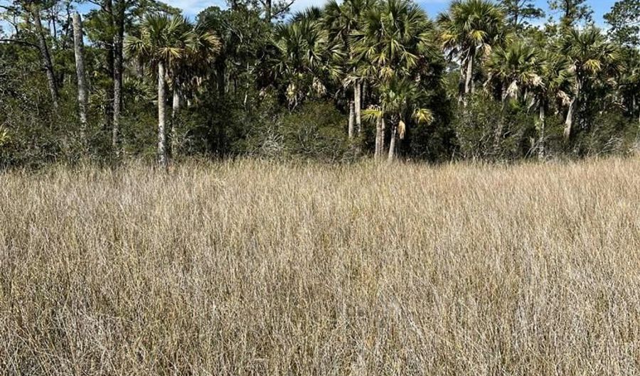 317 Paradise Ln, Apalachicola, FL 32320 - 0 Beds, 0 Bath