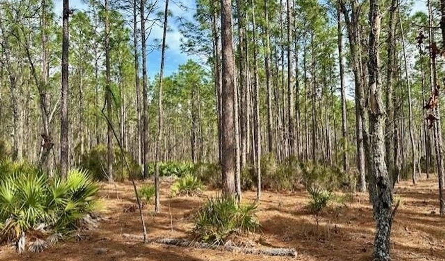 NW County Road 236, Bell, FL 32619 - 0 Beds, 0 Bath
