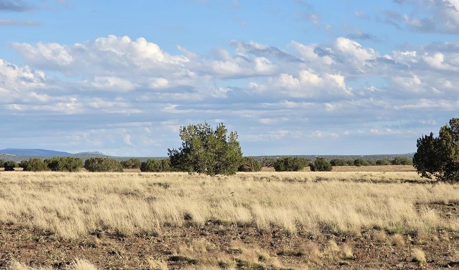 293 294 Arizona Rd, Ash Fork, AZ 86320 - 0 Beds, 0 Bath