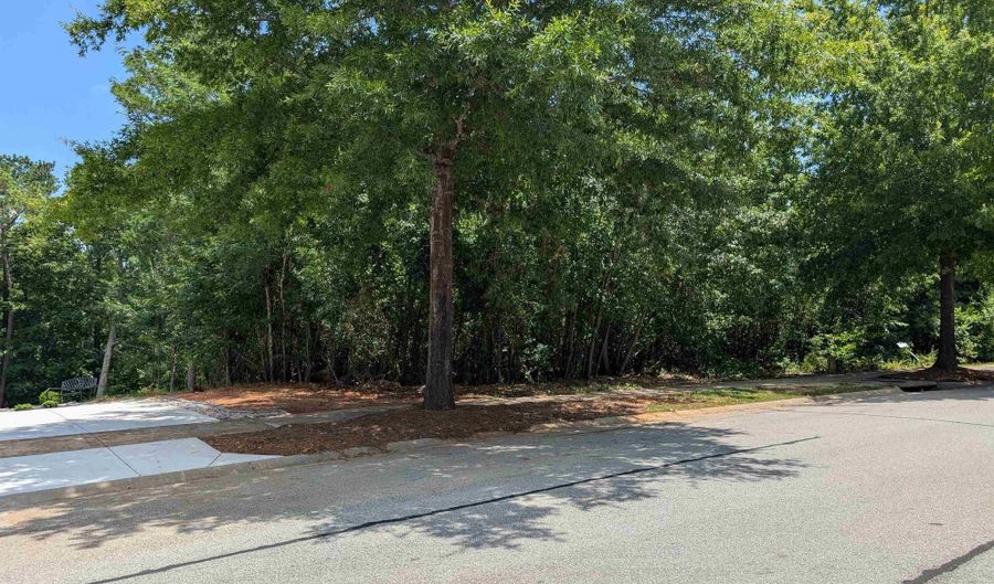 1060 Coogler Crossing Dr, Blythewood, SC 29016 - 0 Beds, 0 Bath