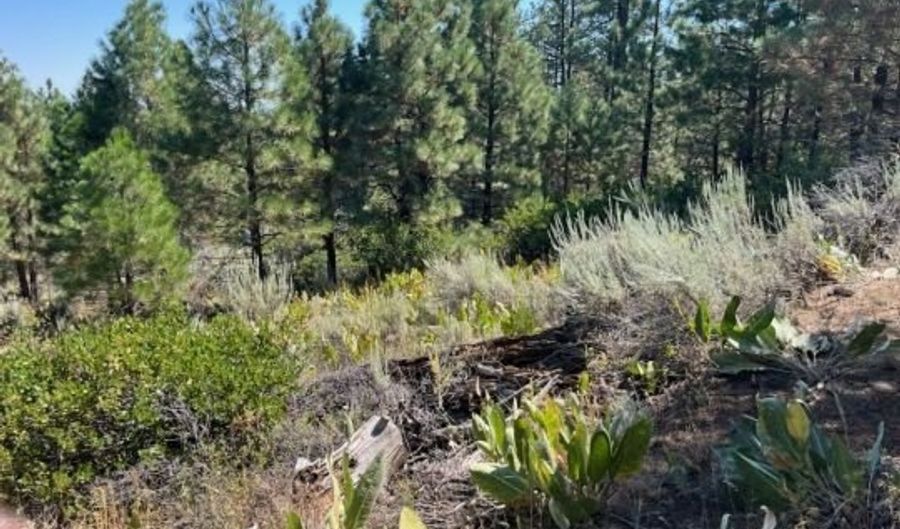 002 Ash Vly, Adin, CA 96006 - 0 Beds, 0 Bath