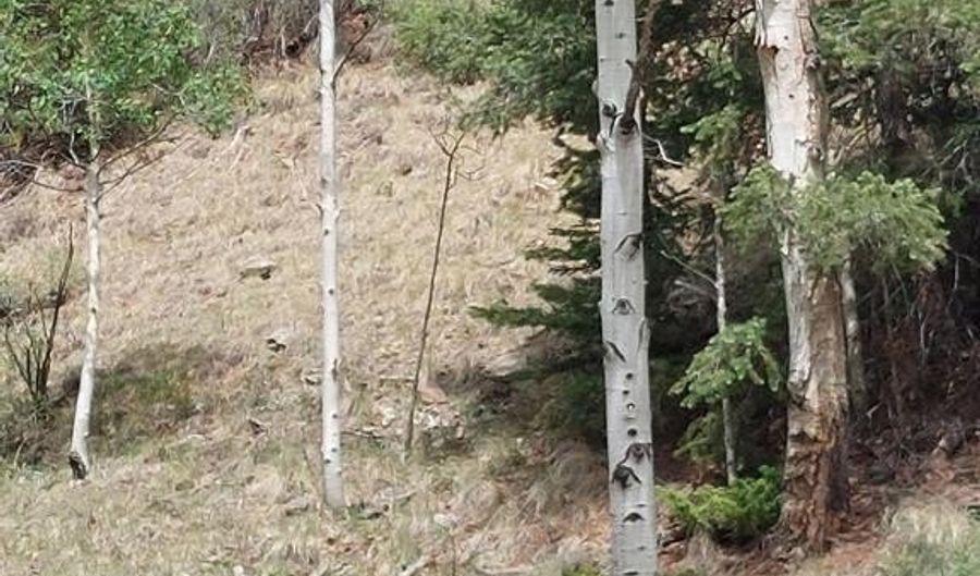 Lots 1-4 block 4, Bonanza, CO 81155 - 0 Beds, 0 Bath