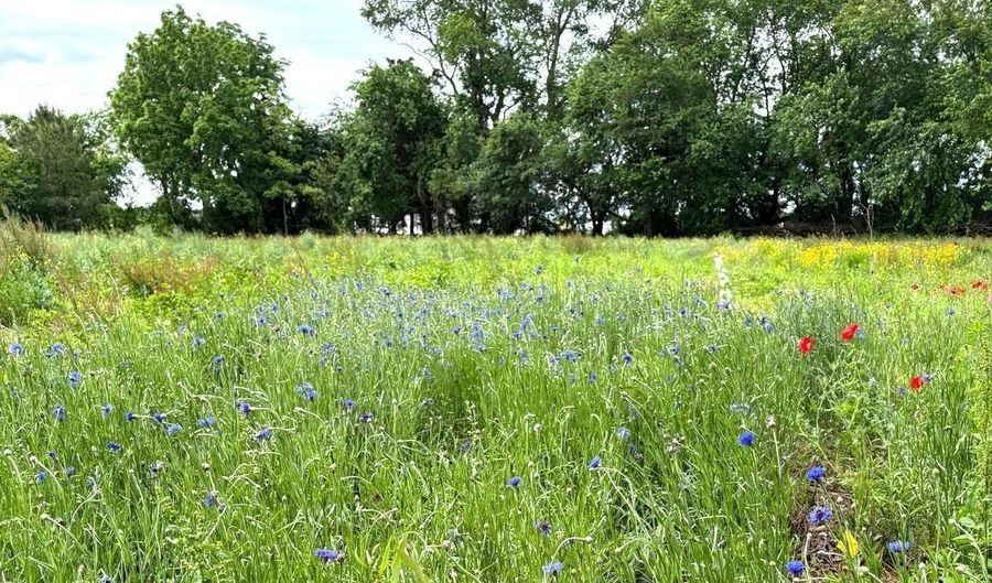 7299 MARSHALL St, Lincoln, DE 19960 - 3 Beds, 3 Bath