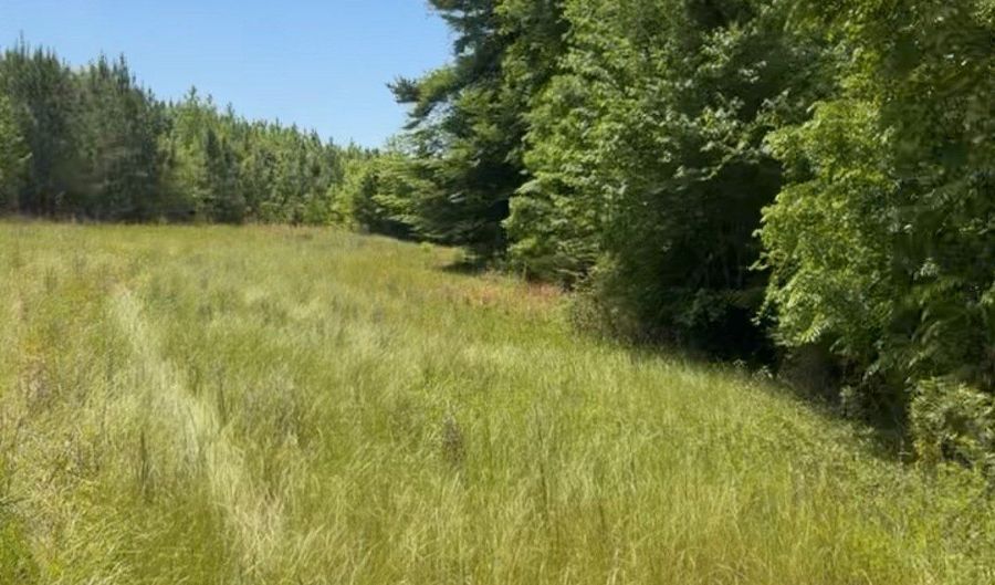 County Road 231, Abbeville, AL 36310 - 0 Beds, 0 Bath
