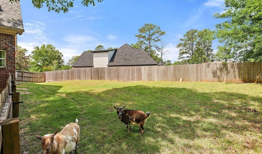114 Parkway Cv, Brandon, MS 39047 - 5 Beds, 5 Bath